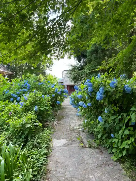 幸徳院笹野寺(山形県)
