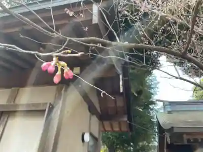 村富神社(神奈川県)