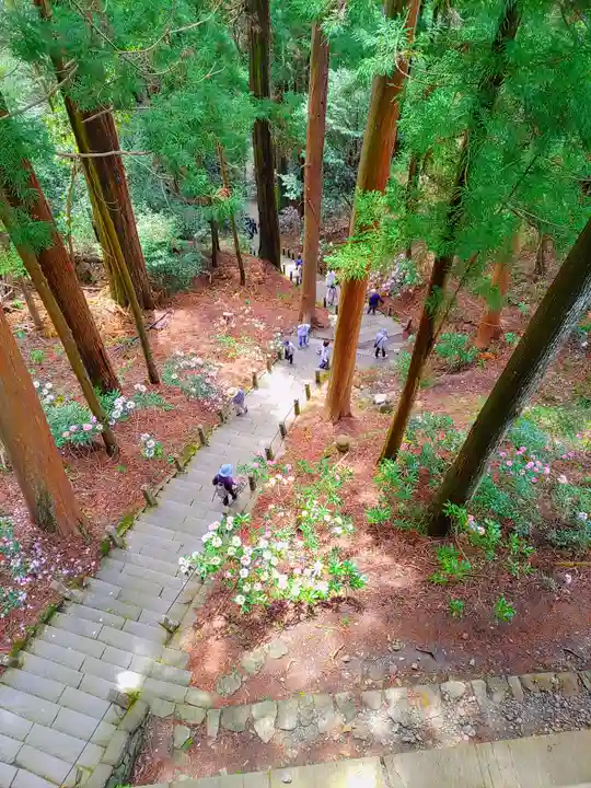 室生寺(奈良県)