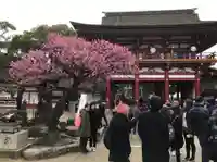 太宰府天満宮の山門・神門