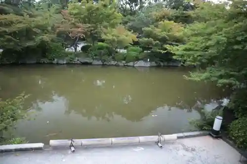 東寺（教王護国寺）(京都府)