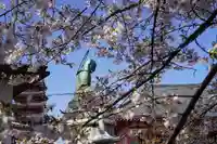 津観音(三重県)