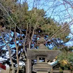 彌彦神社 (伊夜日子神社)(北海道)(2026年03月14日(土) 08時58分45秒投稿)