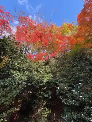 霊鑑寺門跡(京都府)