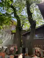 雲仙温泉神社(長崎県)