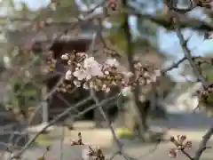 伊勢の国 四天王寺の自然