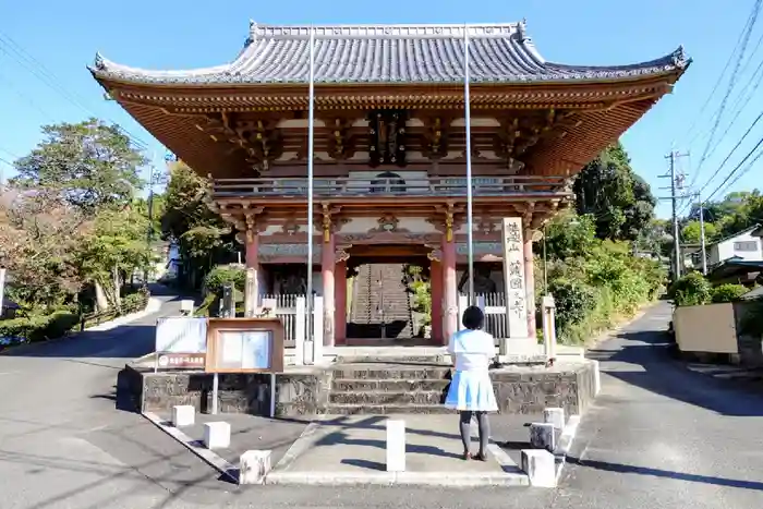 護国之寺の山門