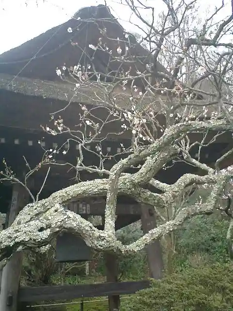 東慶寺のその他建物