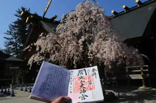 開成山大神宮の本殿・本堂