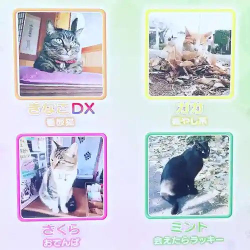 前玉神社の動物