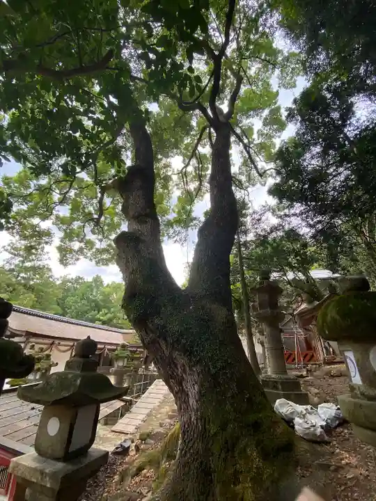 夫婦大國社(春日大社末社)(奈良県)