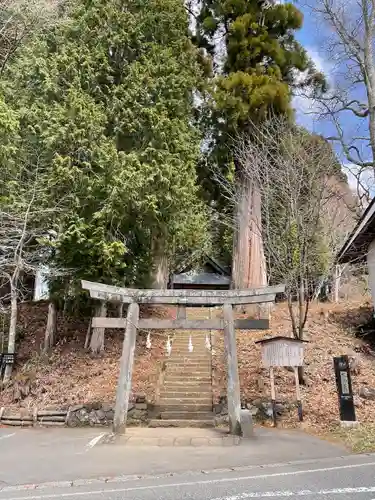 戸隠神社火之御子社の鳥居