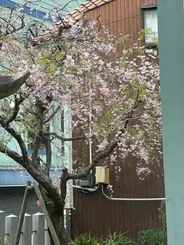 二宮神社の{uncategorized: "未分類", other: "その他", undefined: "問題あり", building: "その他建物", grave: "お墓", sacred_gate: "鳥居", guardian: "狛犬", statue: "像", buddha: "仏像", history: "歴史", nature: "自然", garden: "庭園", animal: "動物", pagoda: "塔", temizu: "手水舎", mountain_gate: "山門・神門", sanctuary: "本殿・本堂", subordinate: "末社・摂社", art: "芸術", scenery: "景色", jizo: "地蔵", ema: "絵馬", goshuin: "御朱印", omikuji: "おみくじ", items: "授与品その他", amulet: "お守り", goshuincho: "御朱印帳", eats: "食事", festival: "お祭り", votive_dance: "神楽", shichigosan: "七五三参", wedding: "結婚式", experience: "体験その他", initially: "初詣", around: "周辺", anti_infection: "感染症対策"}