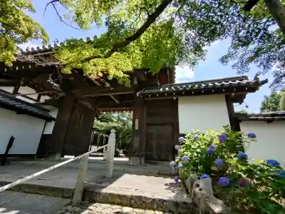 知恩院(京都府)