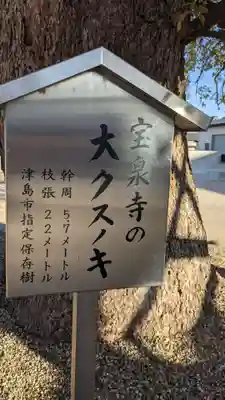 宝泉寺の庭園