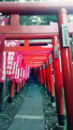 佐助稲荷神社の鳥居