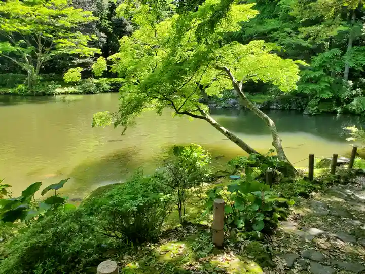 成田山新勝寺(千葉県)