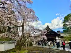 三宝院（三宝院門跡）の自然