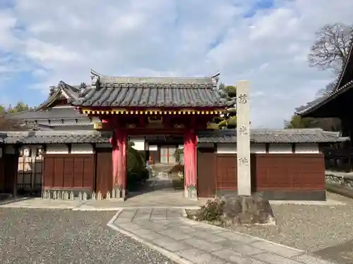 曼陀羅寺の山門