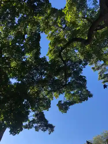 湧別神社の自然