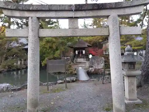 長浜八幡宮(滋賀県)