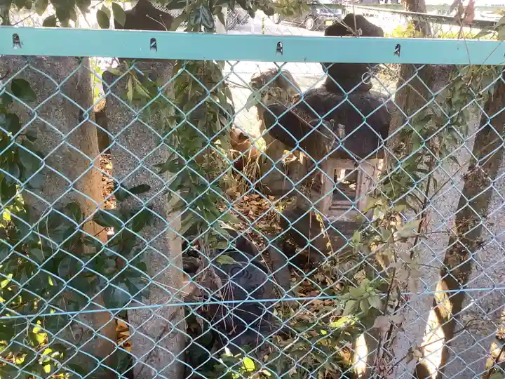 稲荷社(十一屋)のその他建物