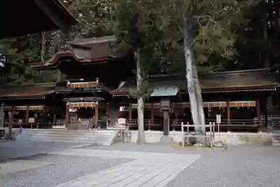 諏訪大社下社秋宮(長野県)