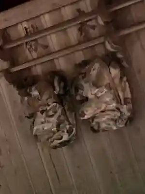 洲原神社(岐阜県)