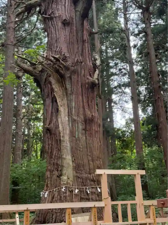 巖鬼山神社(青森県)