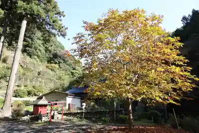 養澤神社(東京都)