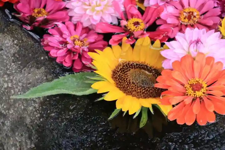 大鏑神社の手水舎