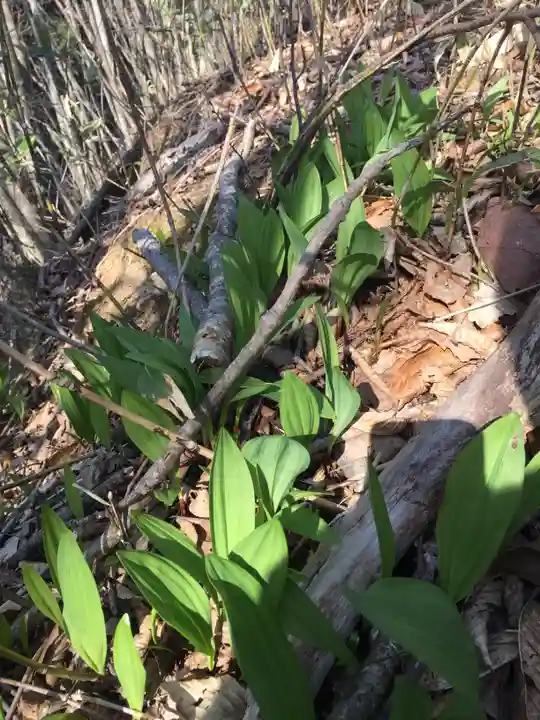 旭岱大山神社(北海道)