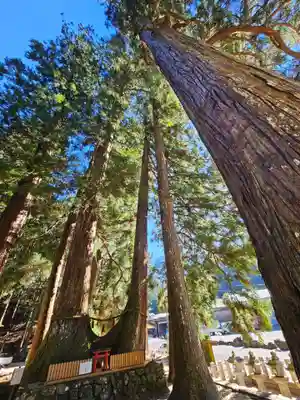 室生龍穴神社(奈良県)