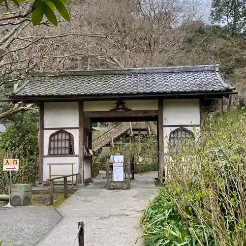 明月院の山門・神門