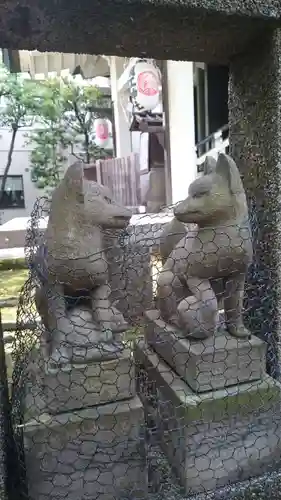 猿江神社の狛犬