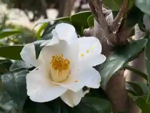 西方山極楽寺(岐阜県)(2026年03月07日(土) 01時46分51秒投稿)