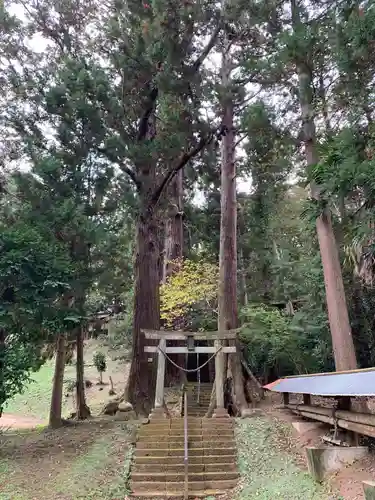 八幡神社の鳥居