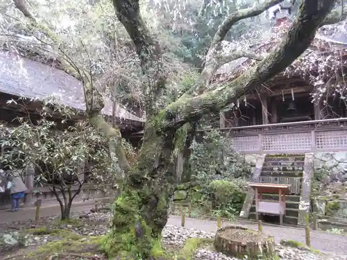 吉野水分神社（吉野町）のその他建物