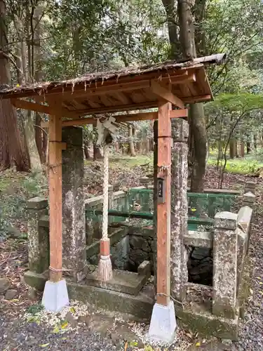 兵主神社の自然