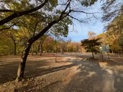 宝登山神社(埼玉県)