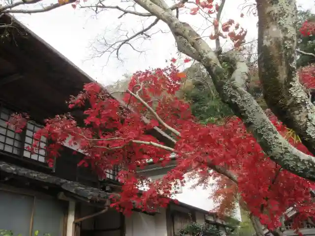 海蔵寺のその他建物