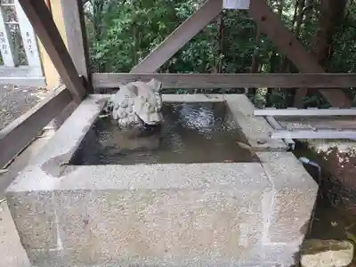 日吉神社の手水舎
