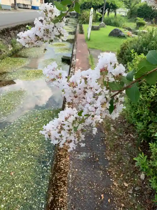 小烏神社(福井県)