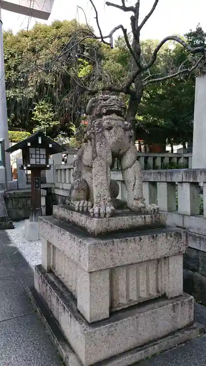 乃木神社の狛犬