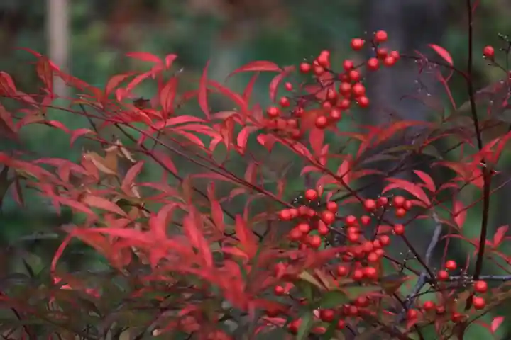 阿久津「田村神社」(郡山市阿久津町)旧社名:伊豆箱根三嶋三社の庭園