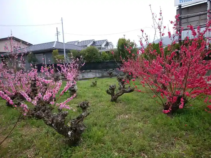 月讀宮(皇大神宮別宮)(三重県)