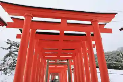 高屋敷稲荷神社の鳥居