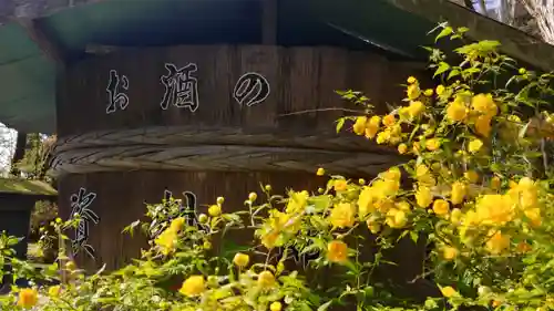 松尾大社のその他建物