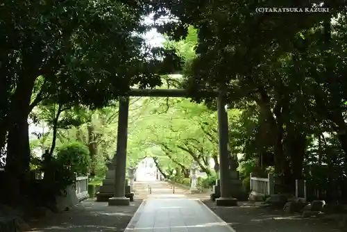 前鳥神社の鳥居