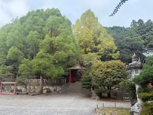 近江神宮(滋賀県)